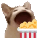 tb_popcorn