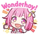 wonderhoy