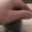 petpetcat