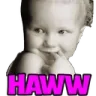 HL_haww_owo