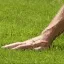 TouchGrass TouchGrass