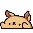 whipBongo whipBongo
