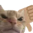 :3_swagthumbsdown: 3_swagthumbsdown