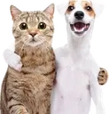 Rs_panas Rs_panas