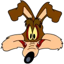 lt_wileecoyote