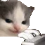 heheChatting