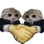 basegMyman