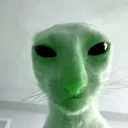 Meow3