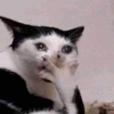 OMG Discord emoji