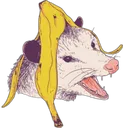 possumbanana