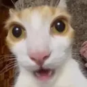 THEHUH