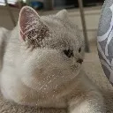 bingsoo_sideeye