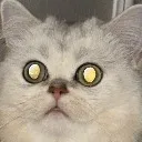 bingsoo_glare