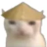 Rice Hat Cat Discord Emoji
