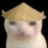RiceHatCat Discord Emoji