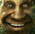 LMAOTree
