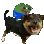 pepe1