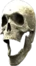 skullaf skullaf