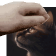 SA_Pat_Gio
