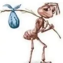 homelessant