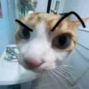Hm