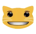 yellow_winning_smile_cat Discord Emoji