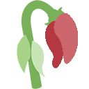 KU_Z_OldRose Discord emoji
