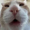 UHHHHHHHHHHhhhhhhhhhhhh