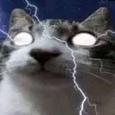thunder_cat Discord Emoji