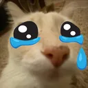 dosecatSad Discord Emoji