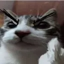 cat_fuck_you Discord Emoji