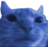 catblue