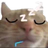 catslep