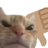 catthumbsdown
