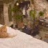 Cat_Sus_Zoom