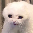 SV_cry