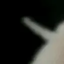hedgehogPls1