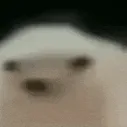 hedgehogPls2