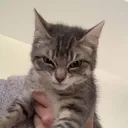 9fdff2b5df9769fc9108817b39e6722d