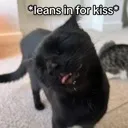 Kiss Cat Discord Emoji