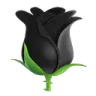 black_rose