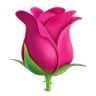pink_rose