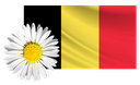 Belgiquepquerette