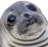 tm_seal tm_seal