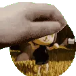 pettommy
