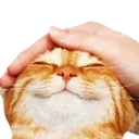 pat