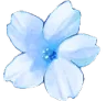 blue_flower