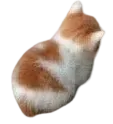 angyRight