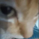 ojo