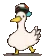 DuckDance